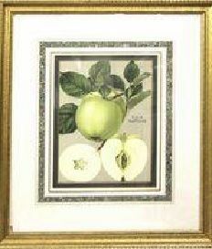 null Trois lithographies encadrées

illustrant deux pommes et une poire.
