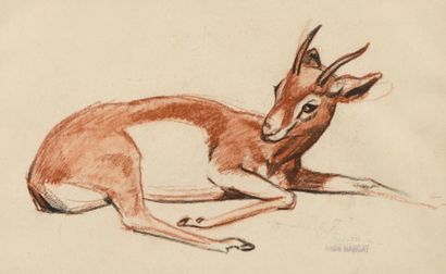 null André MARGAT (1903-1997) 

"Petite antilope couchée" 

Crayon et sanguine sur...