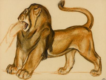 null André MARGAT (1903-1997) 

"Lion rugissant" 

Très grand dessin au fusain et...