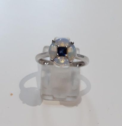 null BAGUE en or gris (750 millièmes) serti d’un saphir carré, entouré de quatre...