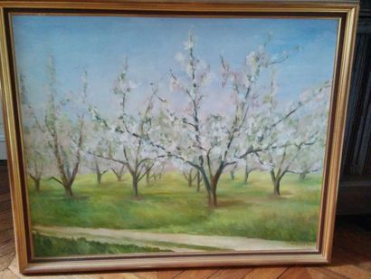 null N SALTET "Cerisiers en fleurs", huile sur toile, signée en bas à gauche et datée...