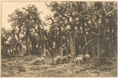 null JACQUE Charles Emile (1813-1894) 

"Bergère et ses moutons" 

Eau forte à grande...