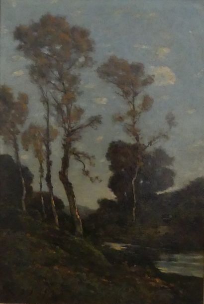 null HARPIGNIES Henri Joseph (1819-1916)

"les pins en méditerranée"

Huile sur toile...