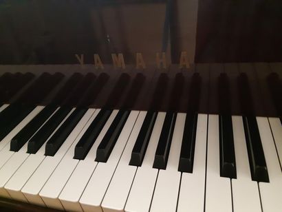 YAMAHA 
Piano ¼ de queue  de la maison YAMAHA

Acajou brillant


Modèle G2 : 173...