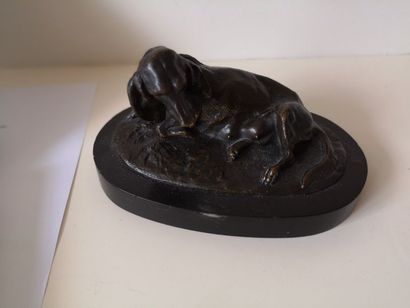 null Chien couché en bronze patine, socle ovale en marbre noir

7 x 15 cm
