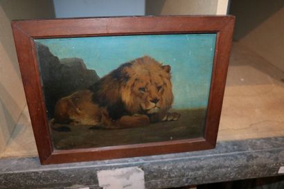 null Rosa BONHEUR

Lion

Panneau

23 x 32 cm