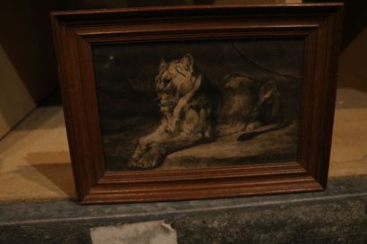 null Rosa BONHEUR

Lion

Panneau

23 x 32 cm