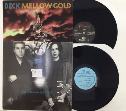 ALTERNATIVE FOLK/ Lot de 2 disques 33T de Beck, US folk rock songwriter. Originaux...