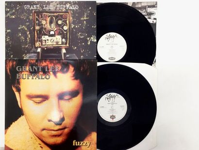 ALTERNATIVE ROCK Lot de 2 disques 33T de Grant Lee Buffalo, indies, alternative rock,...