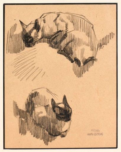 null André MARGAT (1903-1999)

"Etude de deux chats"

Fusain sur papier beige, porte...