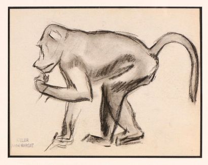 null André MARGAT (1903-1999)

"Etude de singe"

Fusain sur papier, porte le tampon...