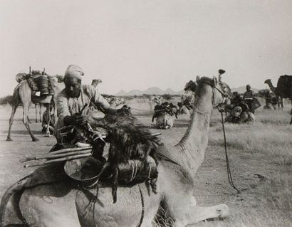 null Alfred ANCEAU DE MEHEREND (1857-1954) 

"Atelage du troupeau de chameaux et...