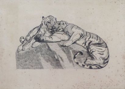 null Paul JOUVE (1878-1973) Deux tigres au repos, 1931. Eau-forte signée bas à gauche,...