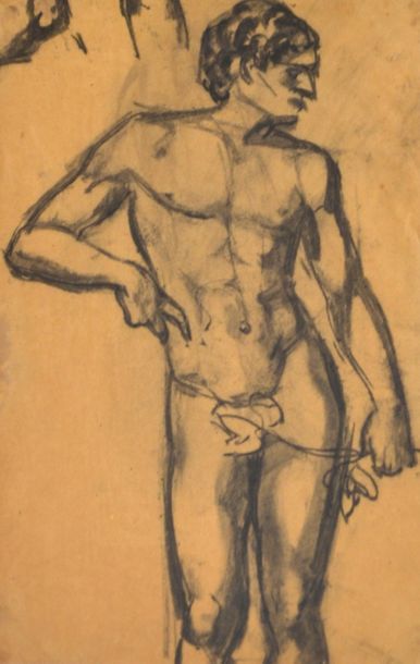 null Lucine VIROT (1909-2003). Etude pour Adam. Fusain. 332 x 19 cm