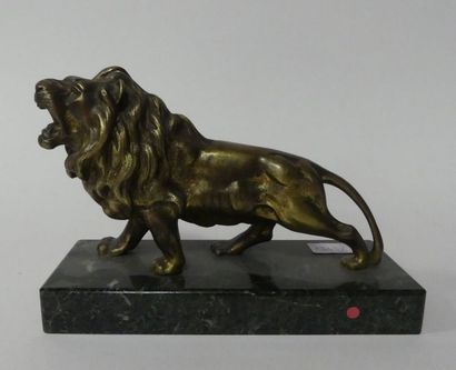 null LION en bronze à patine dorée, socle de marbre. 14 x 21 cm.