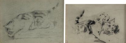 null Louis Eugène LAMBERT (1825-1900). études de chats. Deux dessins au crayon gras,...
