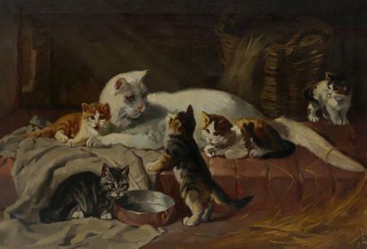 null Ecole fin XIXe-début XXe. Chatte et ses chatons. Huile sur toile. 40 x 60 c...