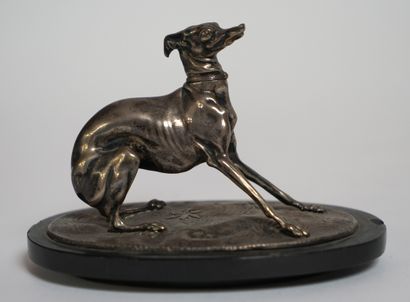 null Pierre-Jules MÈNE (1810-1879) Levrette. Bronze à patine argentée, signé. Socle...