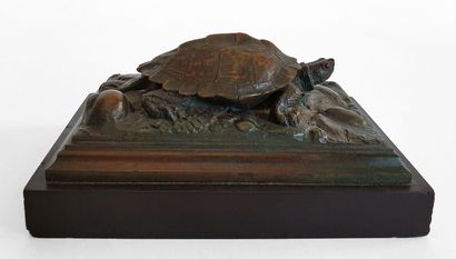 null Antoine Louis BARYE (1796-1875) Turtle. Very nice proof in bronze with a reddish...