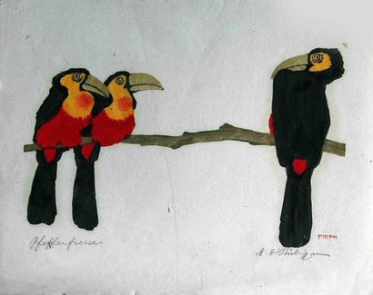 null Martin Erich PHILIPP (1887-1978). Trois oiseaux des îles Bois gravé en couleurs...