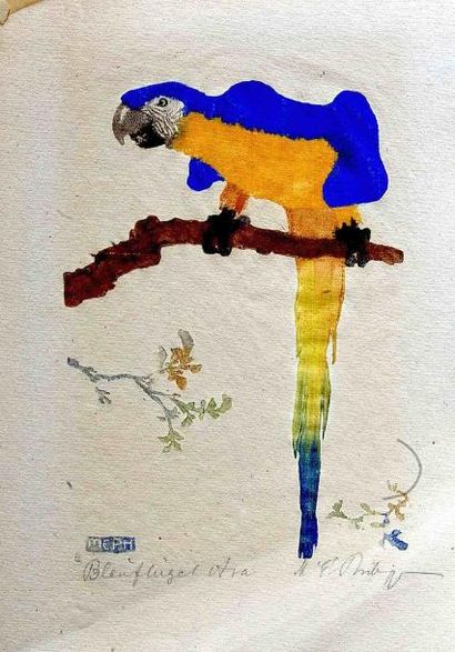 null Martin Erich PHILIPP (1887-1978) Perroquet jaune. Bois gravé en couleurs signé....