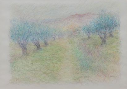 null Jean VOLLOT, L'allée bordée d'arbres, crayons de couleur sur papier, 42 x 60...