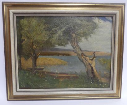 null H. BLOECKER. Arbres sur le rivage. Huile sur toile signée en bas à gauche. 44...