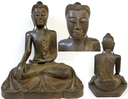 null Important wooden Buddha (var. Albizia saman or Rain Tree) seated in the position...