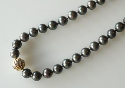 null COLLIER choker formé de 41 perles noires de Tahiti, fermoir boule en or guilloché...