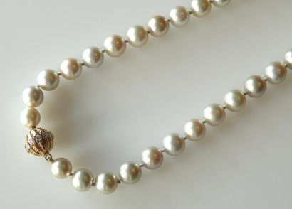 null COLLIER choker formé de 43 perles grises de Tahiti, fermoir boule en or guilloché...