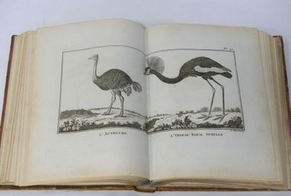  Lot de LIVRES des XVIIIe et XIXe siècles dont PAGES François, Atlas du Cours d'Etudes...
