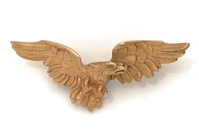 EAGLE WITH DEPLOYED WINGS