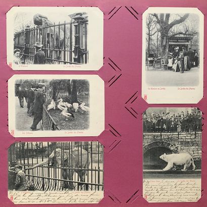 null Ménagerie du Jardin des plantes : lot de cartes postales anciennes sur la ménagerie...