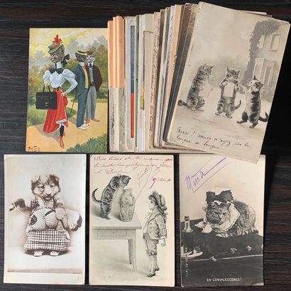 Fantaisies sur les chats : Lot de cartes postales anciennes sur le thème du chat :...