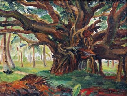 null Roland MASCART (1909- ?) L'arbre Banian. Huile sur carton signé en bas à droite,...