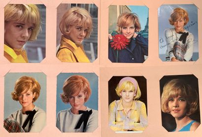 null Sylvie Vartan : Lot of 16 promotional portraits in postcard format and 21 x...