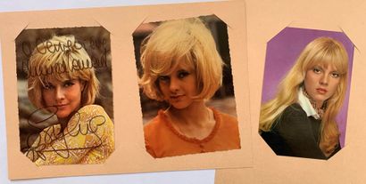 null Sylvie Vartan : Lot of 16 promotional portraits in postcard format and 21 x...