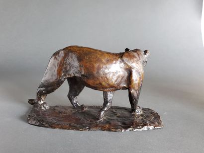 null Roger GODCHAUX (1878-1958) Lionne se tournant. Epreuve en bronze à patine brun-clair...