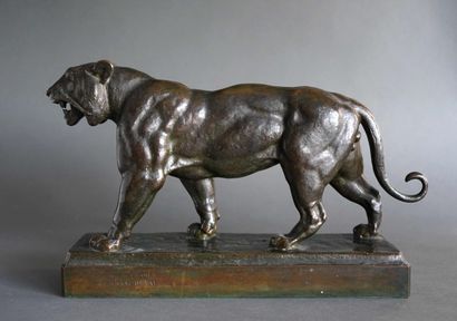 null Antoine-Louis BARYE (1796-1875) d’après Tigre marchant. Epreuve en bronze à...