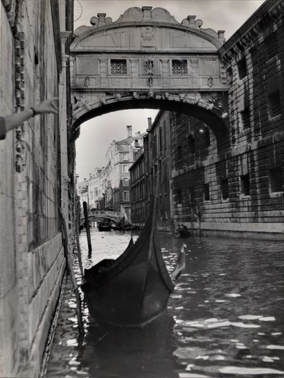 null Reportage in Venice between Saint Mark's Square, Bridge of Sighs and horticultural...