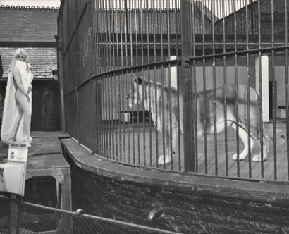 null Keystone, Brigitte Bardot filmé au Zoo de Londres, 1966. Epreuve photographique...