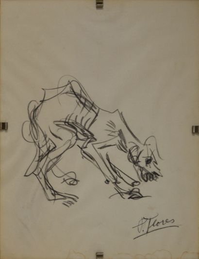 null Pedro FLORES (1897-1967) Four studies of dogs, one with a cat. Four drawings...