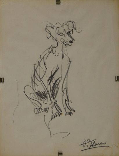 null Pedro FLORES (1897-1967) Four studies of dogs, one with a cat. Four drawings...