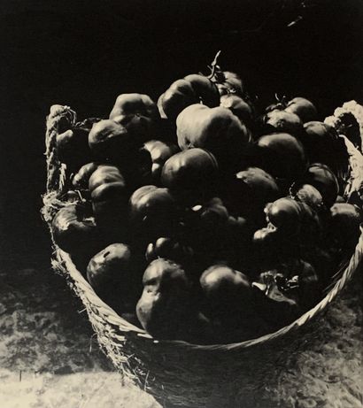 null Georgette Chadourne (1899-1983). Nature morte aux tomates. Grande épreuve photographique...