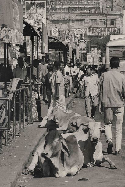 null Marc Riboud (1923 – 2016) : Inde. Calcutta. Rue animée. Epreuve photographique...