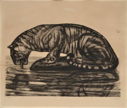 Paul JOUVE (1878-1973) Tiger drinking. Etching...