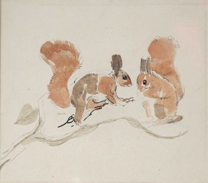 null Paul JOUVE (1878-1973) Les Ecureuils. Lithographie sur japon signée dans la...