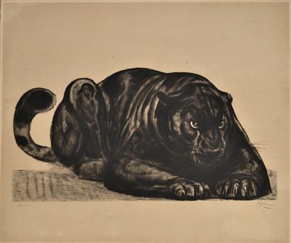Paul JOUVE (1878-1973) Black panther lying...