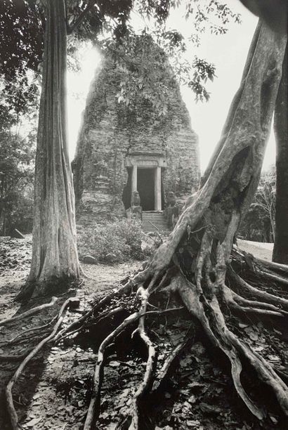 null François DUPUY (XX-XXI) Cambodge, Temple dans la jungle. Epreuve photographique...