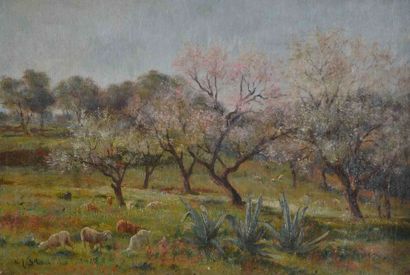 null John-Lewis SHONBORN (1852-1931) Moutons brouttant. Huile sur toile signée en...